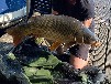 Ferienhaus Refugium am Klostersee mit eigenem Steg und Boot